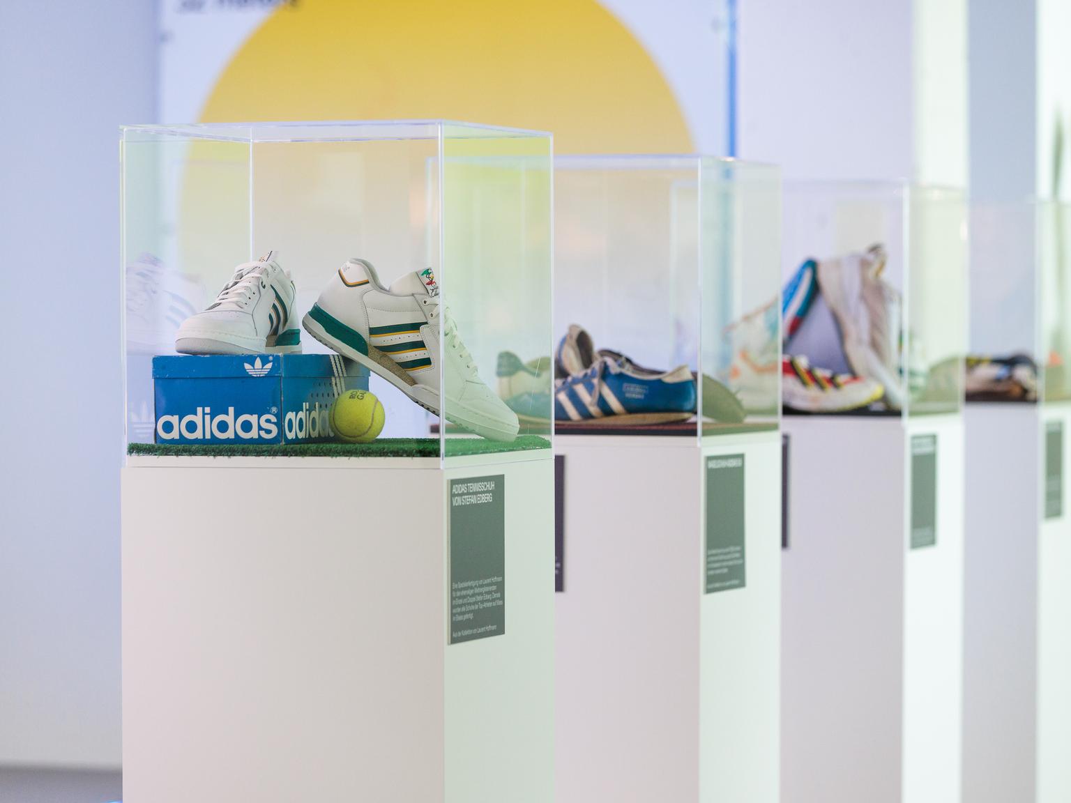 Bild von Die perfekten Hallenschuhe: Worauf ist bei einem Kauf zu achten?