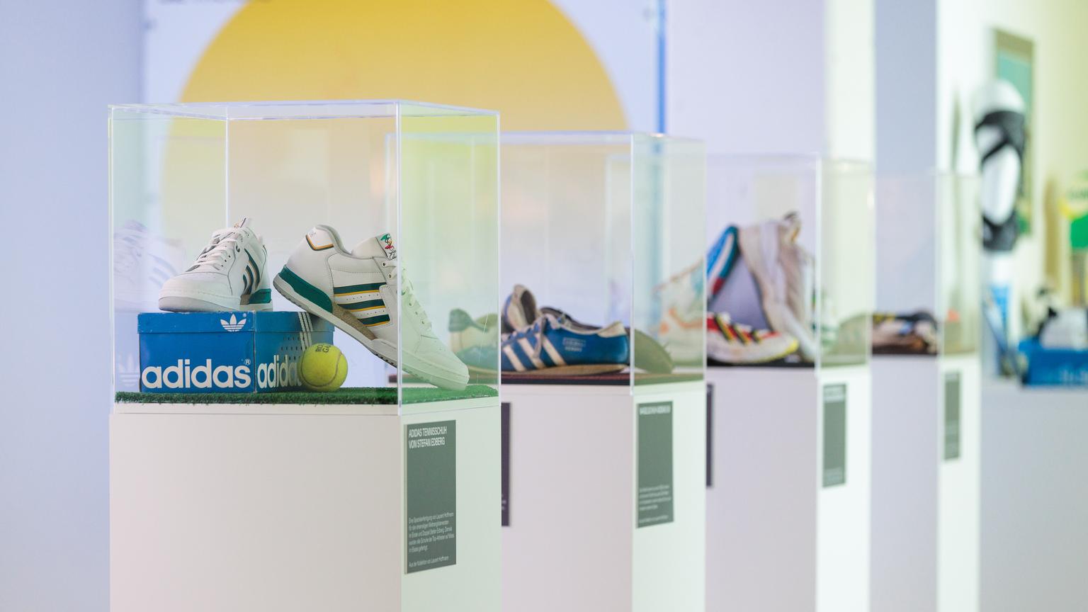 Bild von Die perfekten Hallenschuhe: Worauf ist bei einem Kauf zu achten?